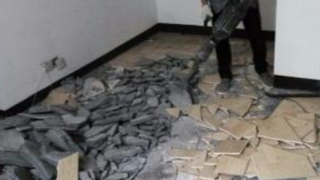 东莞生态园辅助拆除